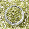 Glass Seed Beads X-SEED-S042-04A-02-2