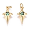 Brass Micro Pave Cubic Zirconia Charms ZIRC-G168-53G-02-1