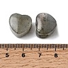 Natural Labradorite European Beads G-C269-01I-3