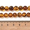 Natural Amber Beads Strands G-L095-B01-8mm-04-3