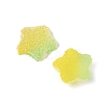 Imitation Candy Food Style Resin Cabochons X1-RESI-R461-02F-2