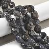 Natural Iolite Beads Strands G-C179-F06-01-2