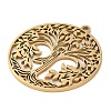 304 Stainless Steel Pendants STAS-R116-08G-2