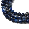 Natural Lapis Lazuli Beads Strands G-T108-36-1-3