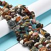 Natural Alashan Agate Beads Strands G-M205-79-1