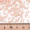 8/0 Opaque Glass Seed Beads X1-SEED-S048-N-013-4