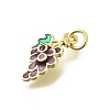 Brass Enamel Pendants KK-Q066-21G-2
