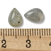 Natural Labradorite Cabochons G-Q173-02B-07-3