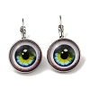 Eye Glass Leverback Earrings with Brass Earring Pins EJEW-Q798-01I-1