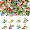 Glass & Acrylic Charms FIND-YW0006-91A-2