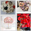 DIY Flower Bouquet Decoration Kits DIY-SP0006-59G-6