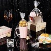 100Pcs Rectangle Transparent Plastic Bags ABAG-PH0001-50A-5