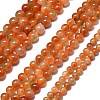 Natural Malaysia Jade Beads Strands G-L645-C01-6mm-29-2