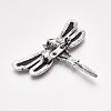 Freshwater Shell Brooches/Pendants SHEL-S275-39E-3