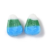 Handmade Lampwork Beads LAMP-Z014-01D-2
