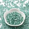 Glass Seed Beads SEED-M011-01A-13-2