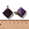 Natural Amethyst Perfume Bottle Pendants G-Z039-05G-06-3