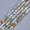 Natural Flower Amazonite Beads Strands G-S354-43-1