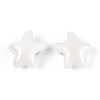 Handmade Porcelain Beads PORC-Q002-03B-01-2