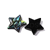 Natural Paua Shell Epoxy Resin Cabochons SSHEL-S279-01F-2