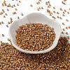 Baking Paint Glass Seed Beads X-SEED-S042-15A-13-2