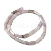 Natural Lepidolite/Purple Mica Stone Beads Strands G-E612-C05-C-3