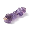 13Pcs Natural Mixed Gemstone Pendants X1-PALLOY-JF02145-01-4