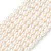 Natural Cultured Freshwater Pearl Beads Strands PEAR-C004-03-2