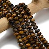 Natural Tiger Eye Beads Strands G-Z111-A02-01-1