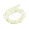 Natural Selenite Beads Strands G-F750-B-05-5