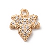Brass Micro Pave Cubic Zirconia Charms KK-C062-046G-02-1