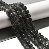Natural Biotite Beads Strands G-F784-A03-03-2
