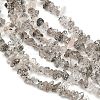 Natural Black Strawberry Quartz Chip Beads Strands G-B160-A03-4