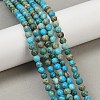 Dyed Natural Regalite/Imperial Jasper/Sea Sediment Jasper Beads Strands G-B124-C04-10-5