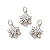 Rack Plating Brass Micro Pave Cubic Zirconia Pendants KK-E081-16P-3