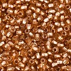 Silver Lined Glass Seed Beads SEED-T007-18A-12-3
