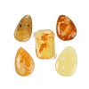 Natural Amber Pendants G-H063-01-1