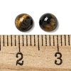 Natural Tiger Eye Cabochons G-Q173-01B-13-3