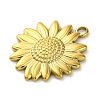 Ion Plating(IP) 304 Stainless Steel Pendants STAS-K293-06G-2