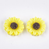 Resin Cabochons CRES-T010-60J-1