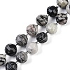 Natural Black Netstone Beads Strands G-G182-B08-05-1