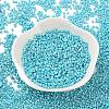 Baking Paint Glass Seed Beads X-SEED-S042-15B-34-2