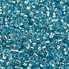 Glass Seed Beads SEED-S042-04A-13-3