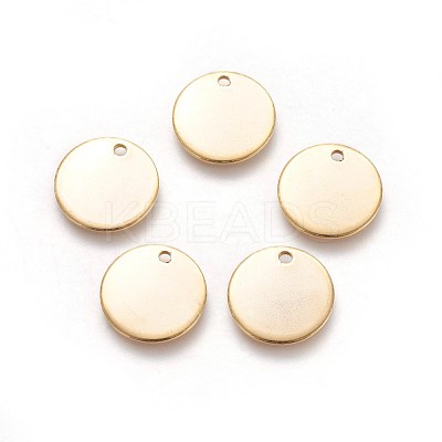 304 Stainless Steel Charms STAS-I098-06-1