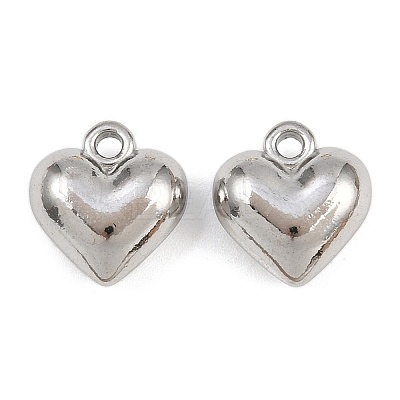 304 Stainless Steel Charms STAS-L303-13P-1
