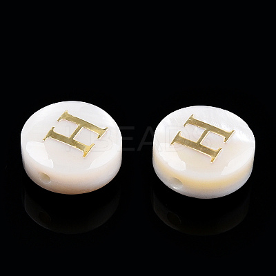 Natural Freshwater Shell Beads SHEL-N036-01H-1