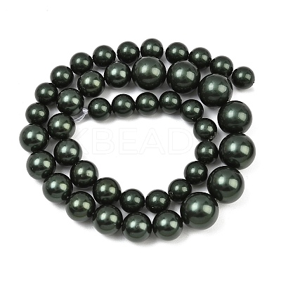 Electroplated Shell Pearl Graduated Beads Strands BSHE-C011-04-02-1
