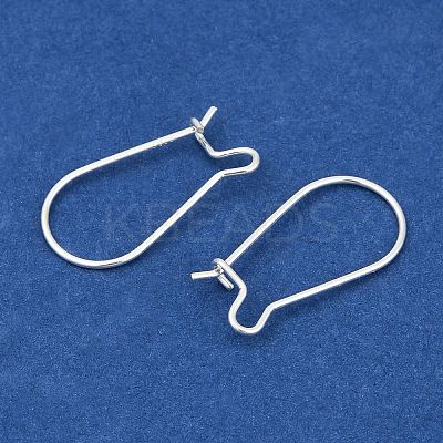 925 Sterling Silver Hoop Earrings X-STER-S002-55-1