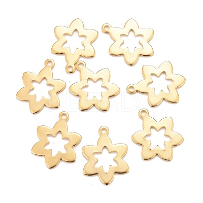 201 Stainless Steel Pendants LS-STAS-K217-16G-1