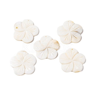 Natural Freshwater Shell Carved Pendants BSHE-S304-14-1